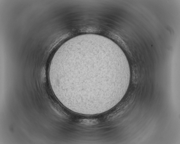 X0000112400251200909110935