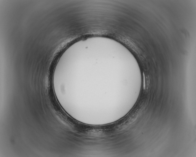 X0000112400252200909110935
