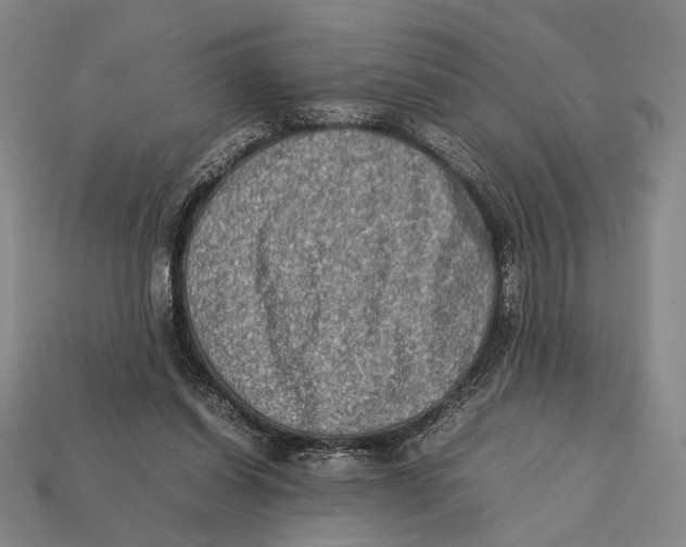X0000112400254200909110935