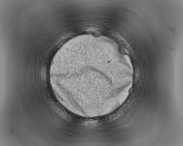 X0000112400257200909110935