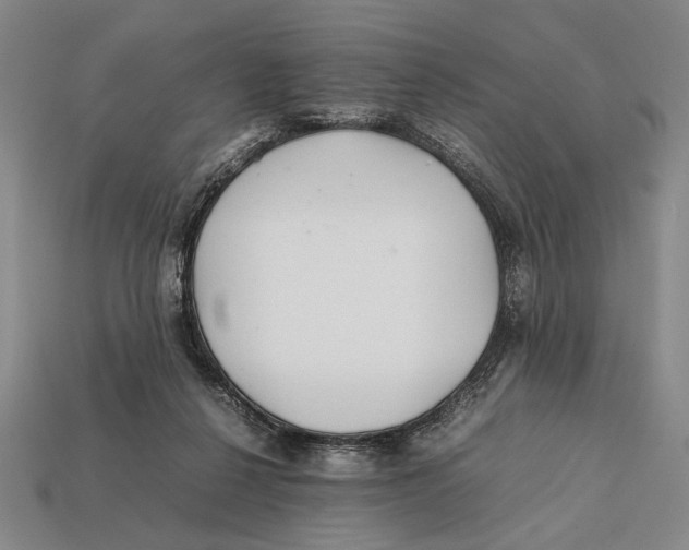 X0000112400264200909110935
