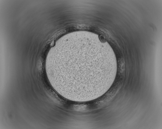 X0000112400266200909110935