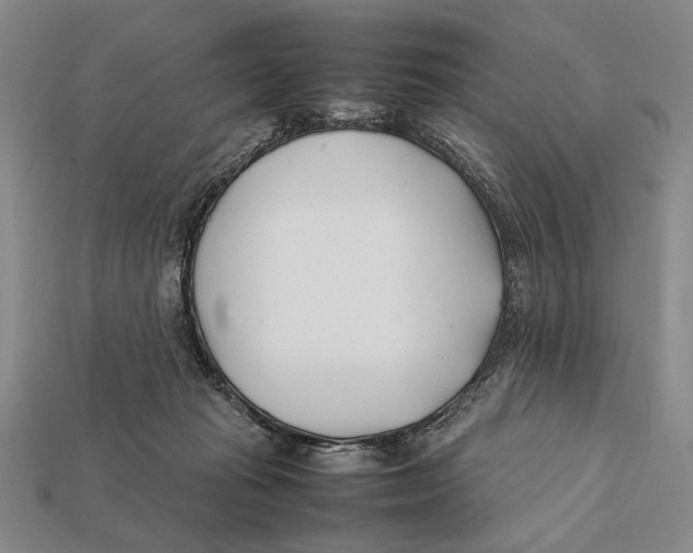 X0000112400269200909110935