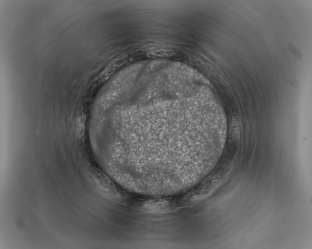X0000112400271200909110935