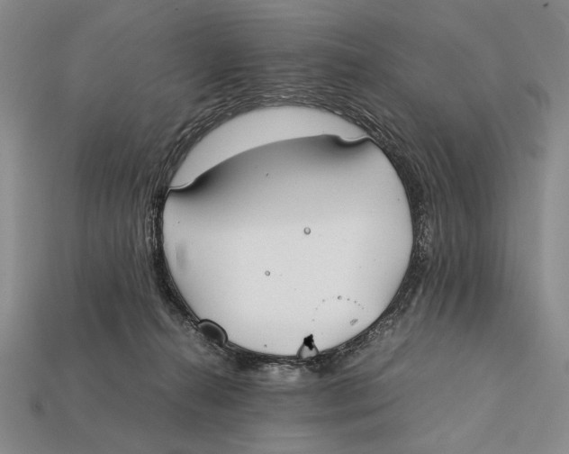 X0000112400272200909110935