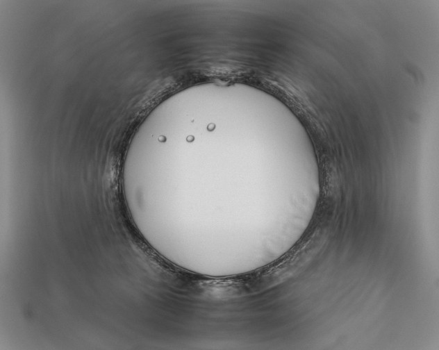 X0000112400273200909110935