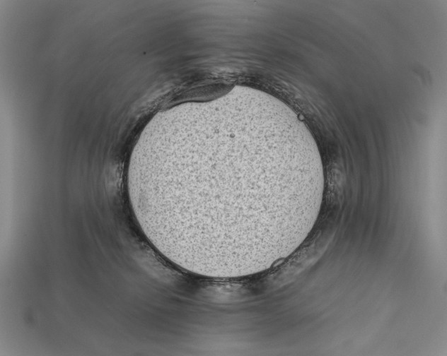 X0000112400278200909110936