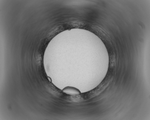 X0000112400279200909110936
