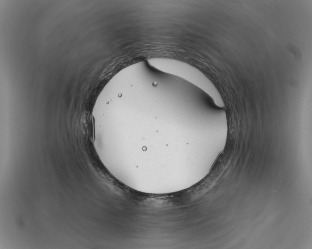 X0000112400280200909110936