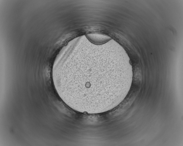 X0000112400282200909110936