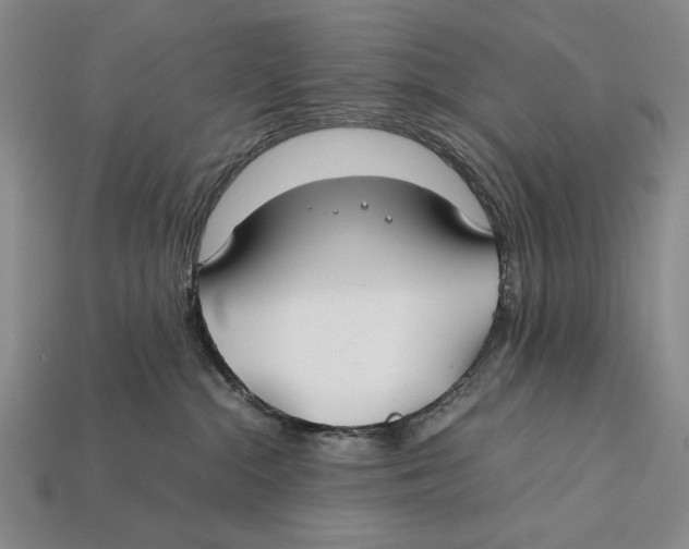 X0000112400284200909110936