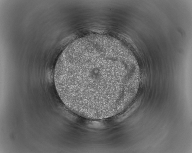 X0000112400285200909110936