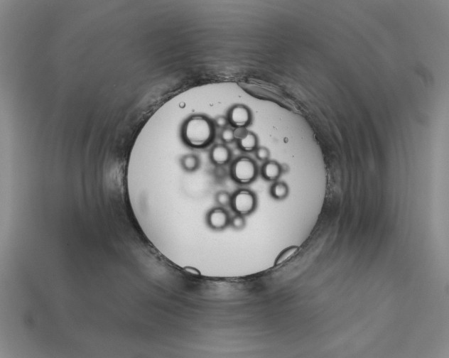 X0000112400286200909110936