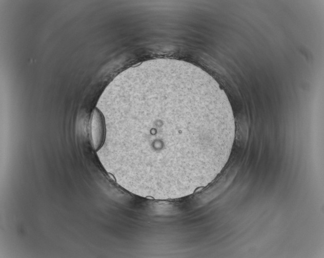 X0000112400287200909110936