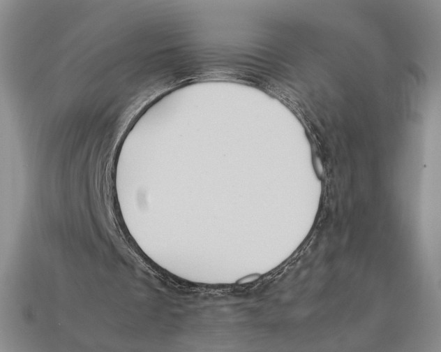 X0000112400289200909110935