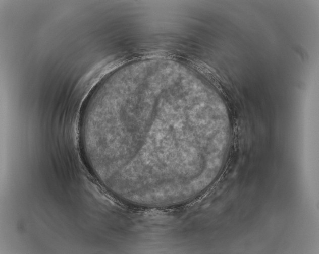 X0000112400290200909110935