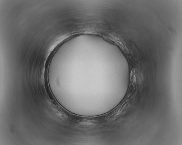 X0000112400292200909110935