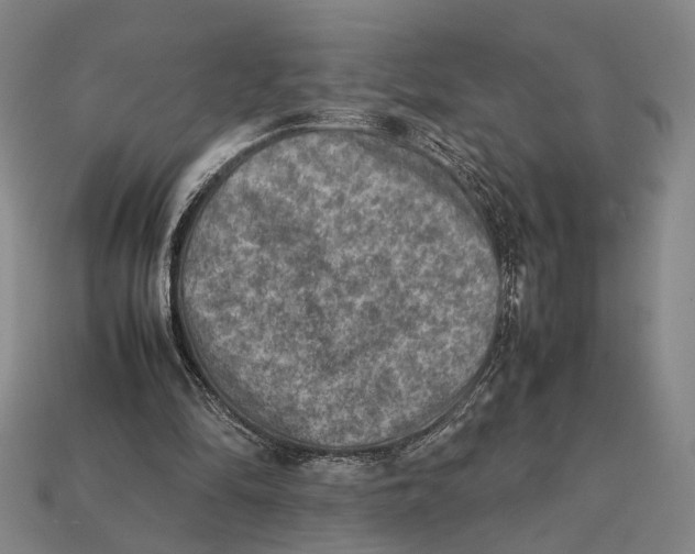 X0000112400294200909110935