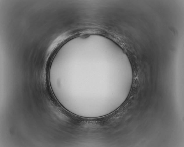 X0000112400296200909110935