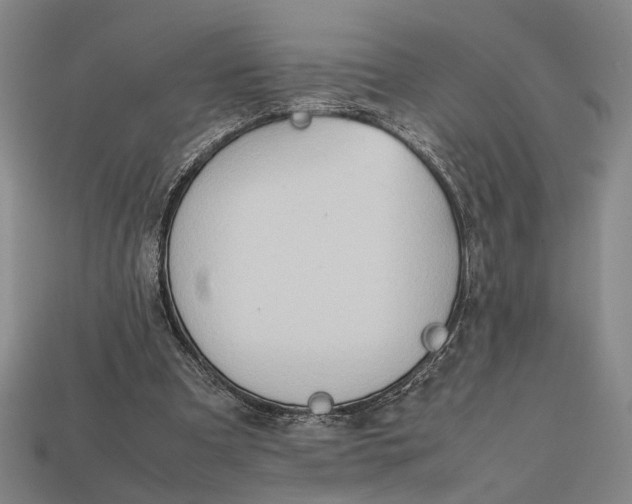 X0000112400297200909110935