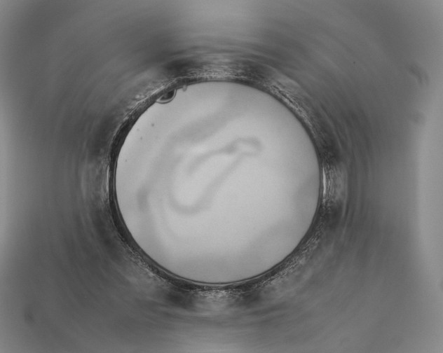 X0000112400301200909110935