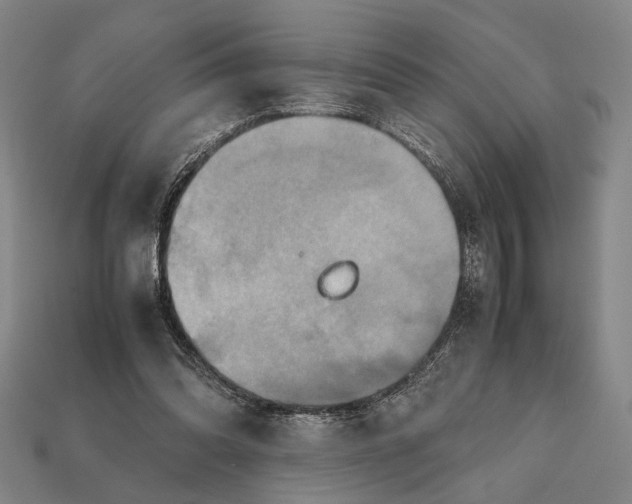 X0000112400302200909110935