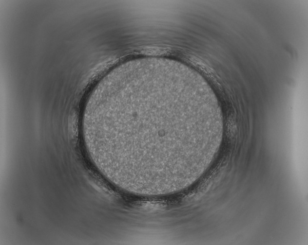 X0000112400303200909110935