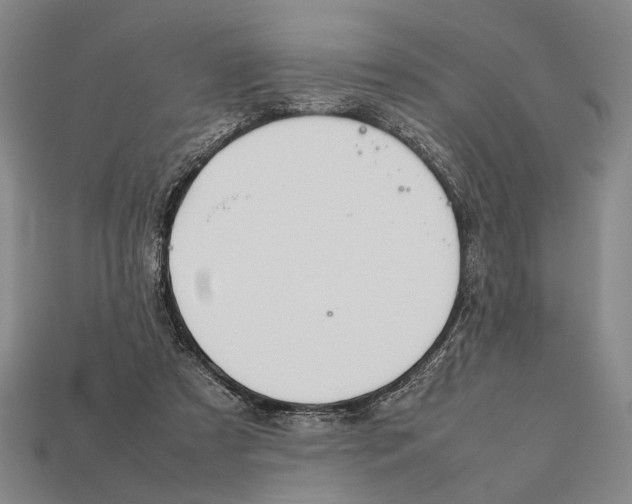 X0000112400305200909110935
