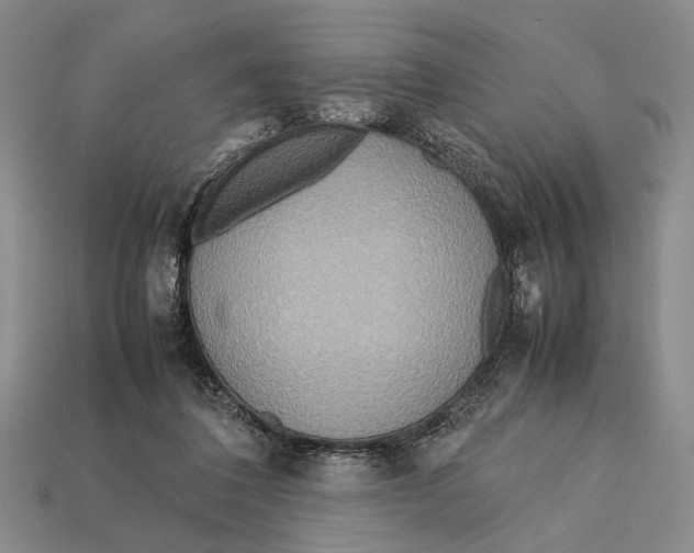 X0000112400308200909110935