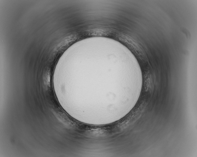 X0000112400310200909110935