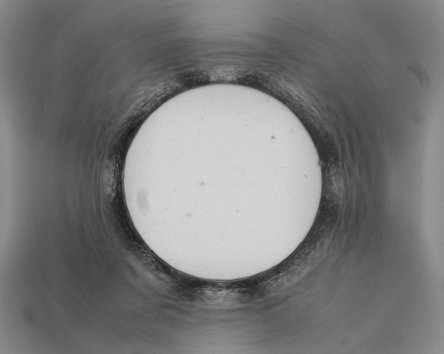 X0000112400311200909110935