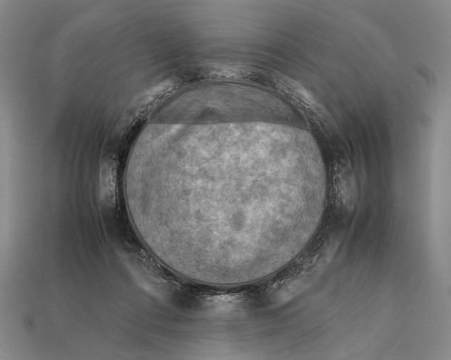 X0000112400312200909110935