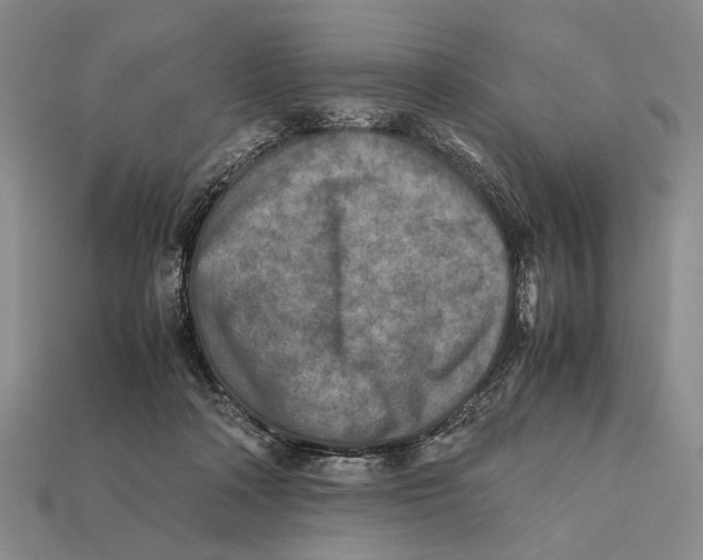 X0000112400314200909110935