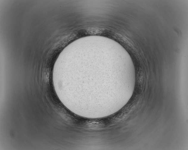 X0000112400315200909110935