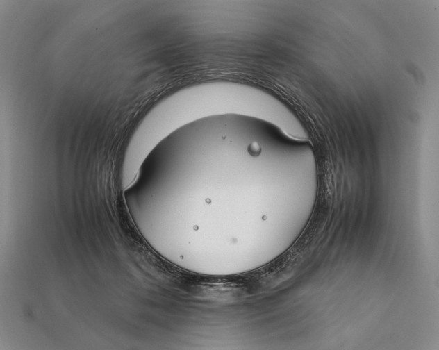 X0000112400316200909110935