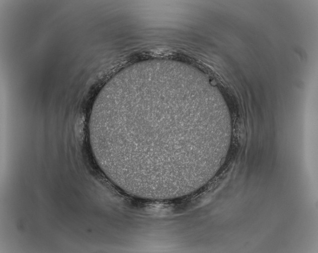X0000112400319200909110934