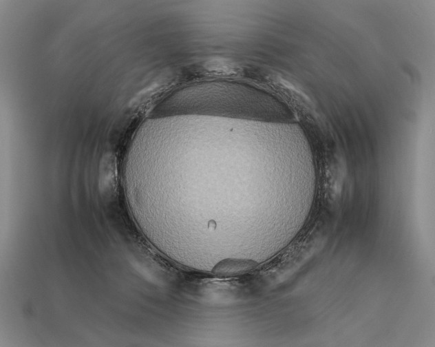 X0000112400320200909110934