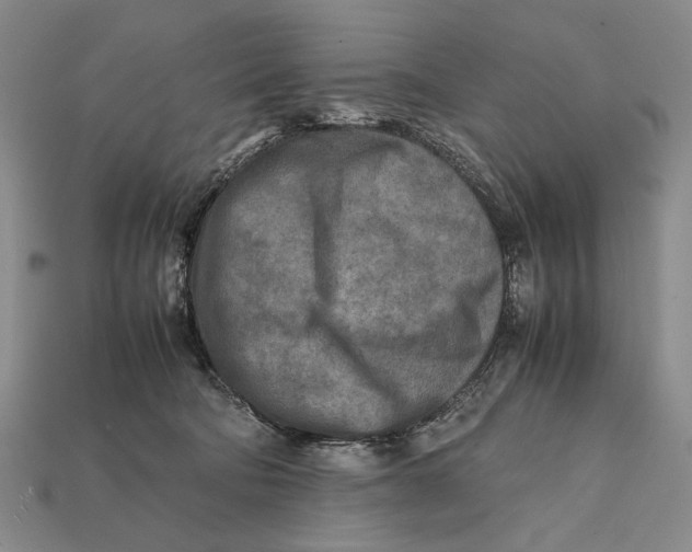 X0000112400322200909110934
