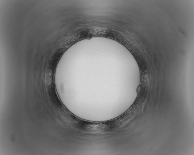 X0000112400323200909110934