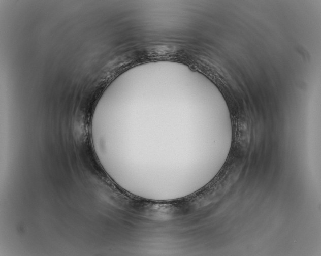 X0000112400324200909110934