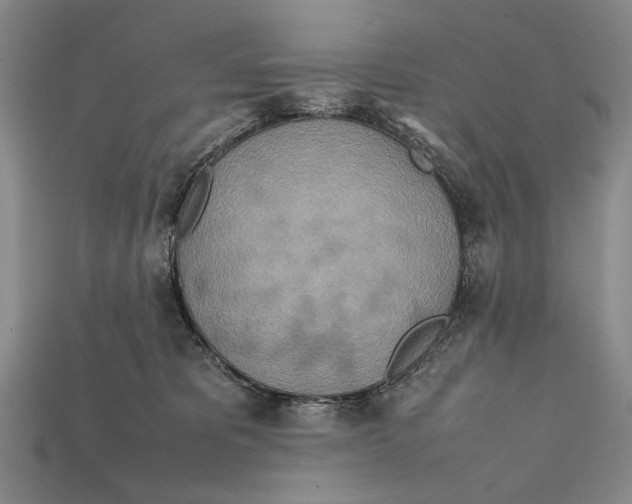 X0000112400325200909110934
