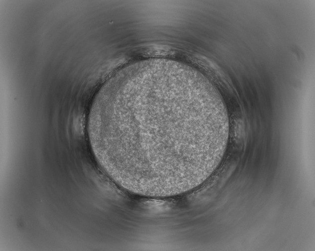 X0000112400326200909110934
