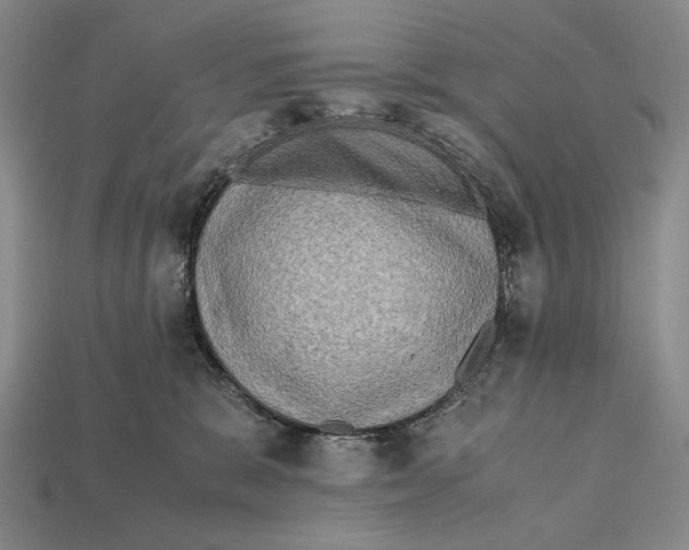 X0000112400327200909110934