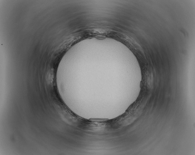 X0000112400328200909110934
