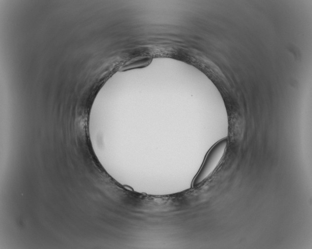 X0000112400329200909110934