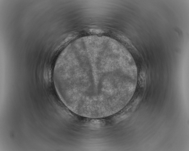 X0000112400330200909110934
