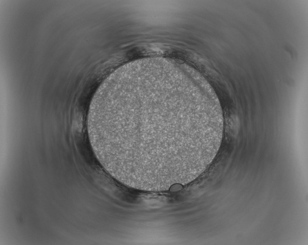 X0000112400331200909110934