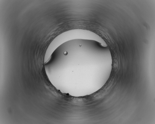 X0000112400332200909110934