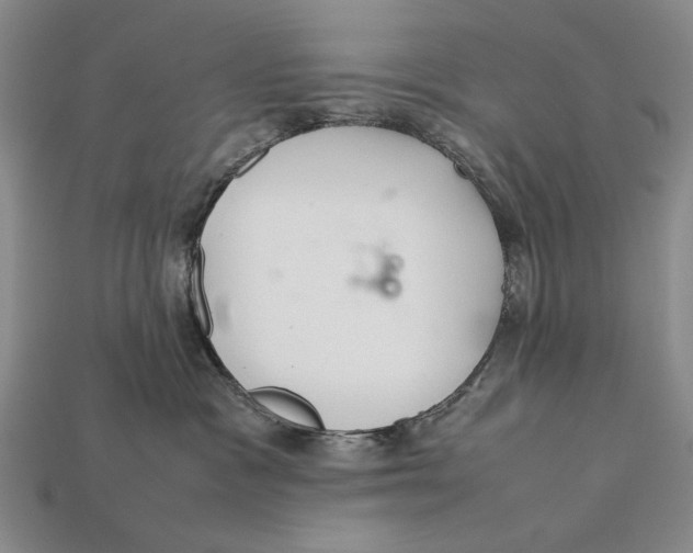 X0000112400333200909110934
