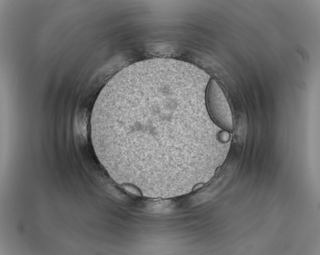 X0000112400334200909110934